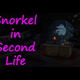 A Friendly Dolphin's Ridiculous Adventures In <i>Second Life</i>